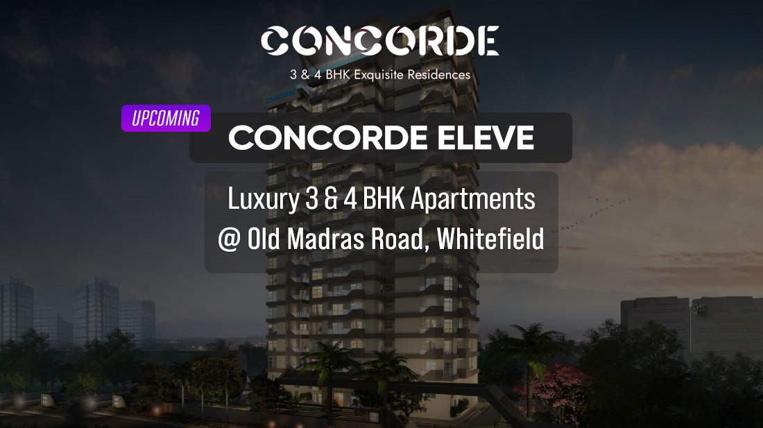 Concorde Eleve