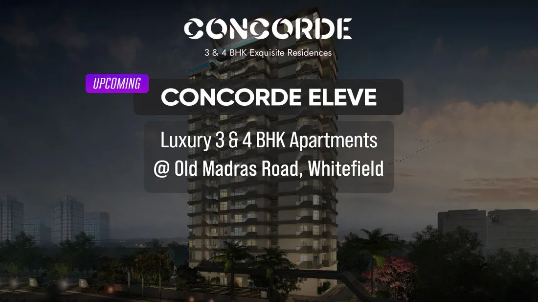 Concorde Eleve