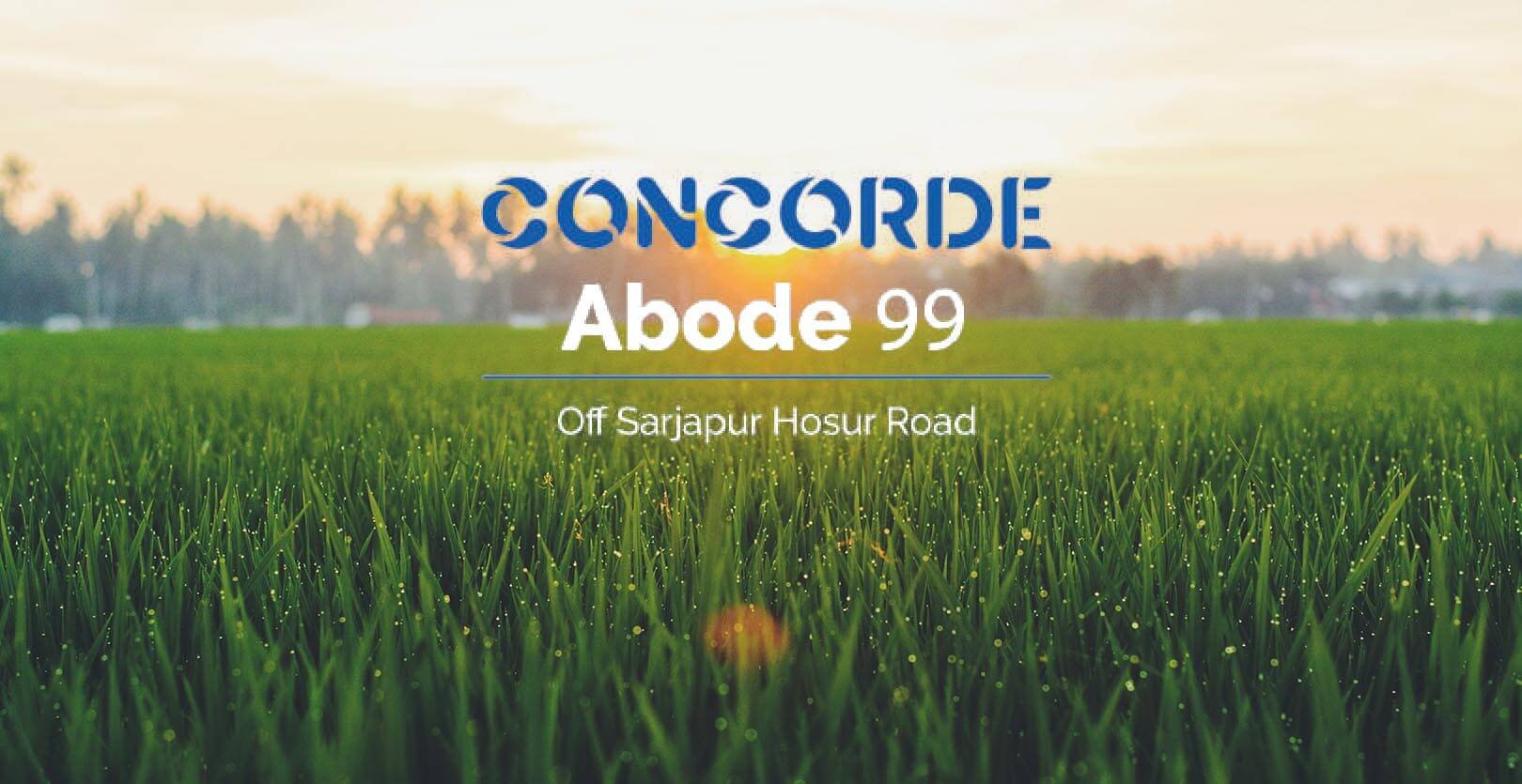 Concorde Abode 99