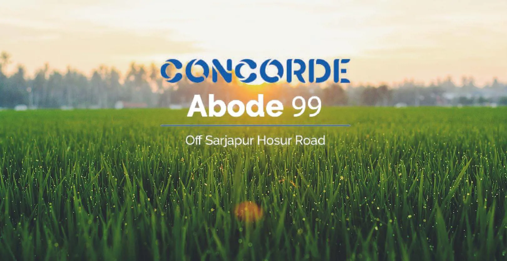 Concorde Abode 99