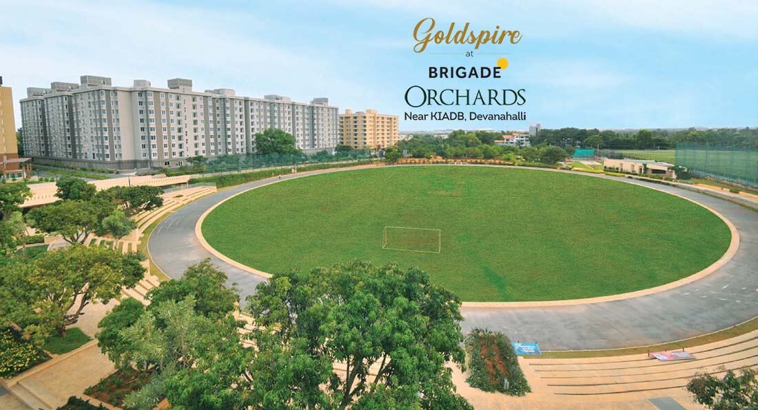 Goldspire at Brigade Orchards