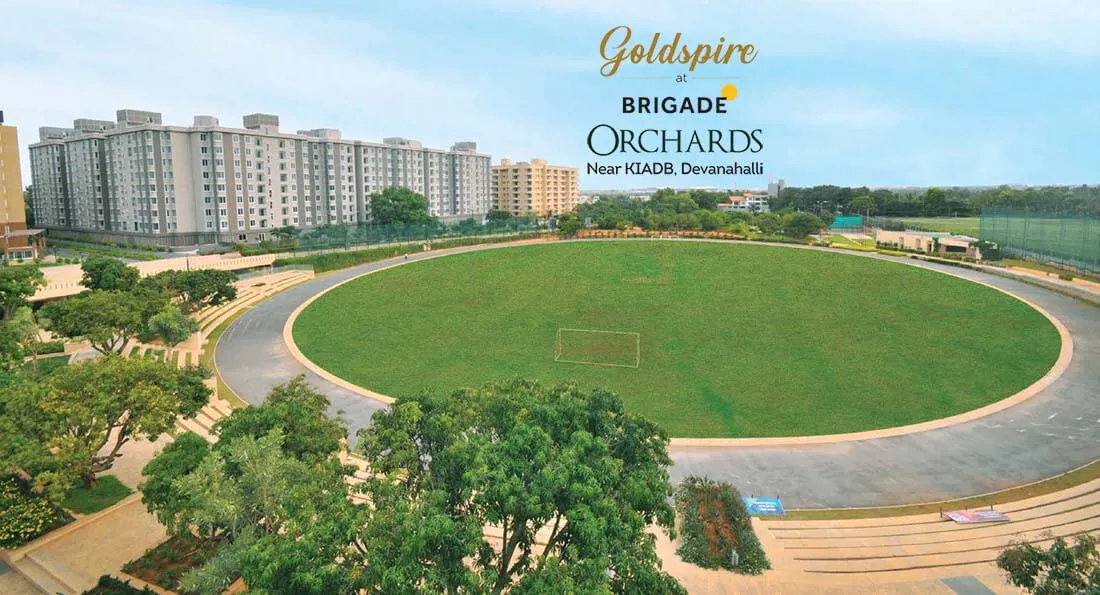 Goldspire at Brigade Orchards