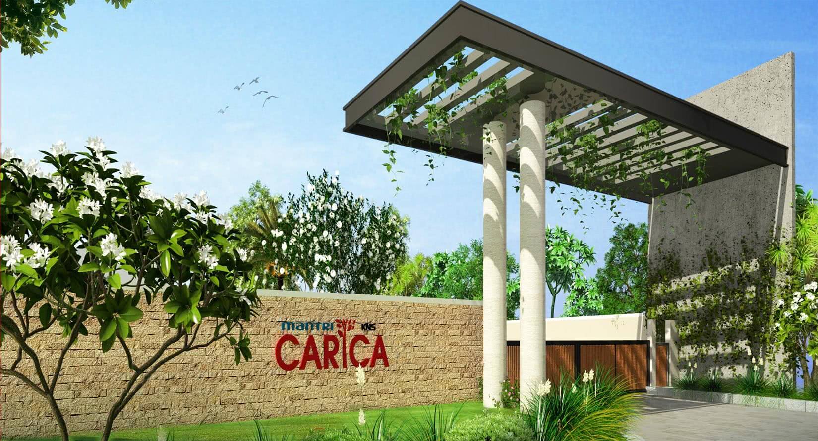 Mantri KNS Carica