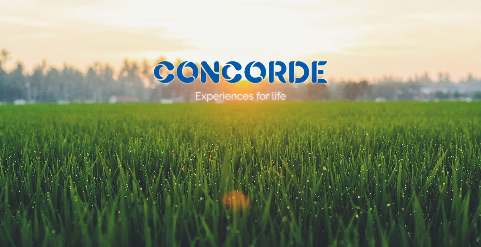 Concorde Elements of Earth