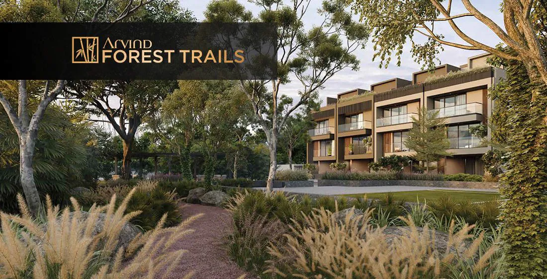 Arvind Forest Trails