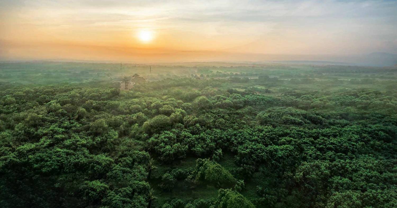 Godrej Ananda