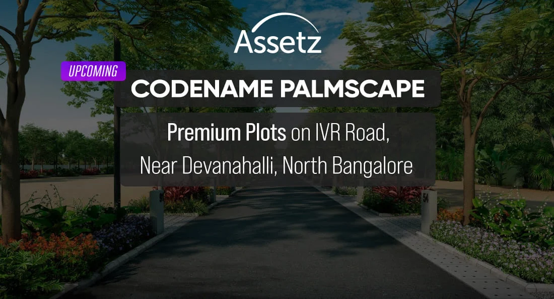Assetz Codename Palmscape