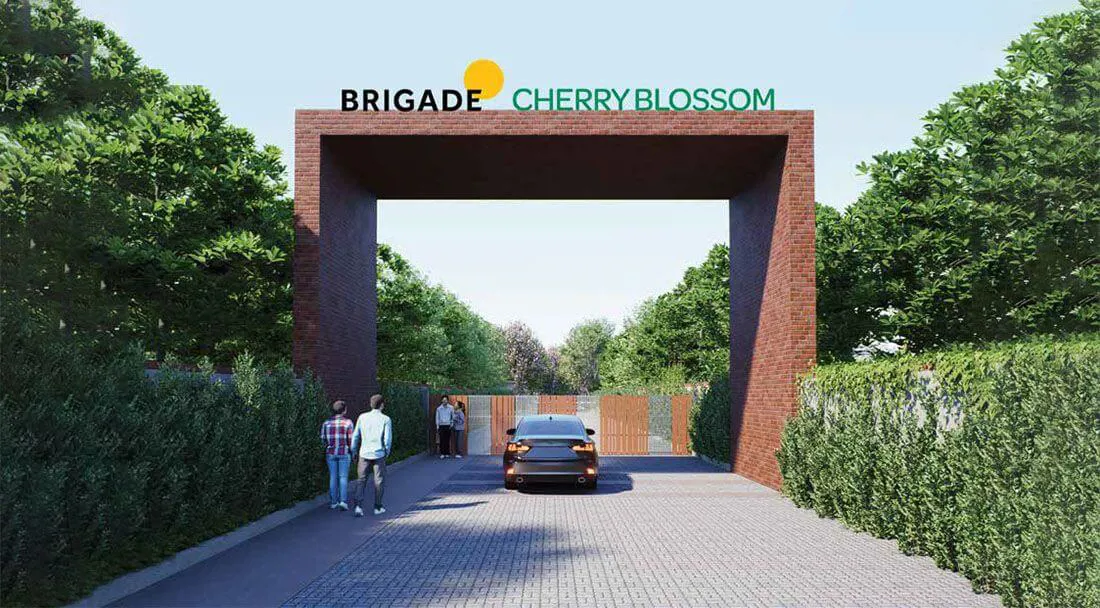 Brigade Cherry Blossom Plots
