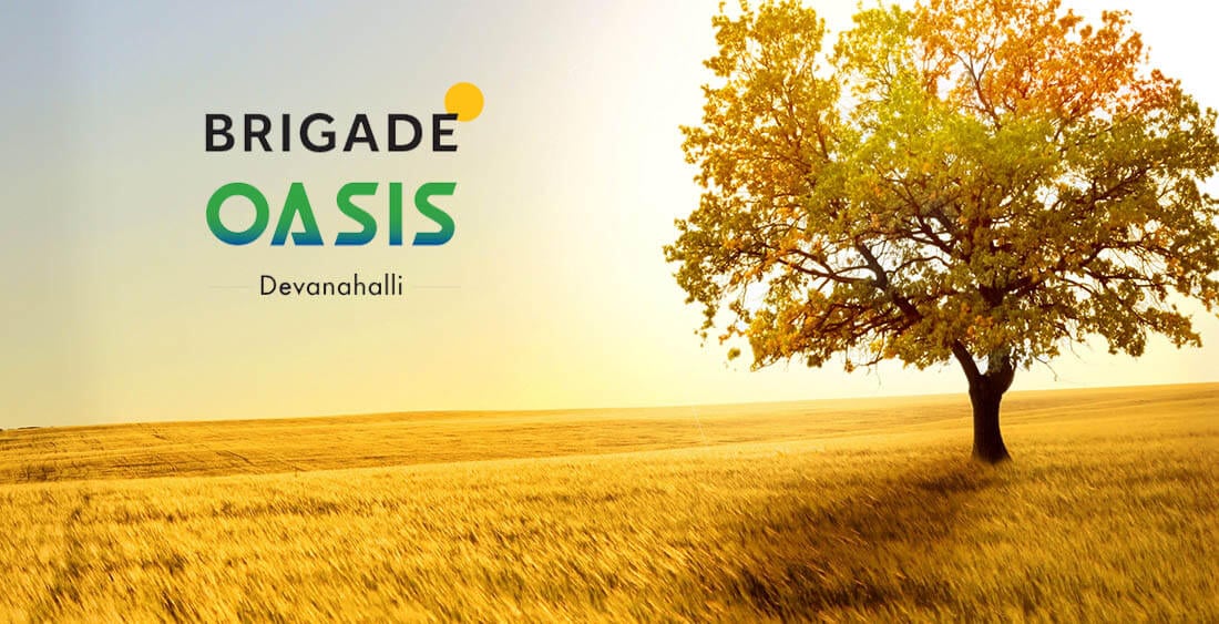 Brigade Oasis