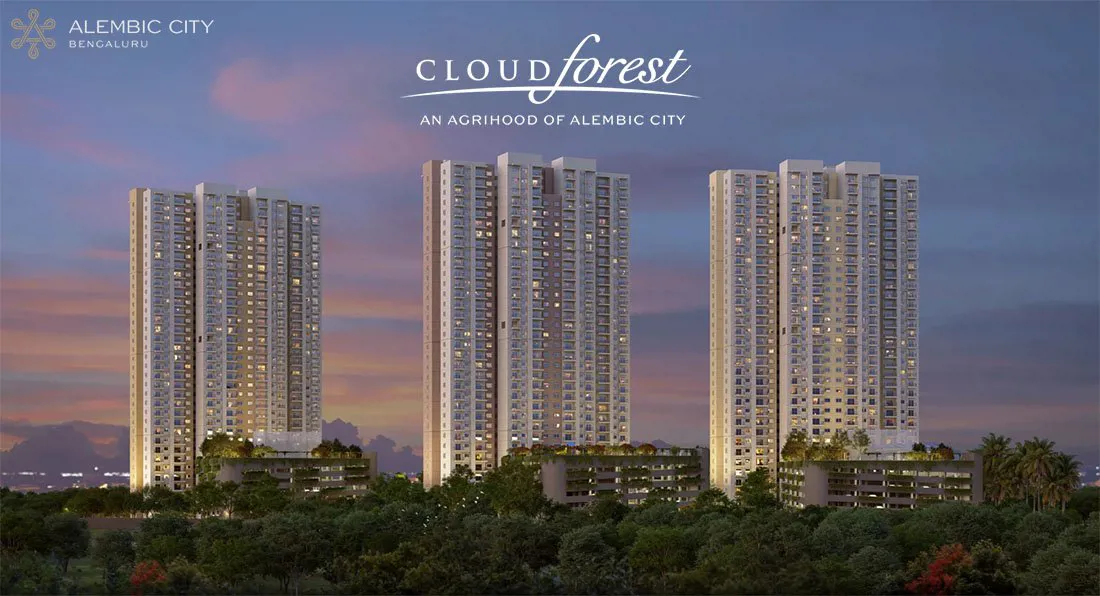 Alembic Cloud Forest