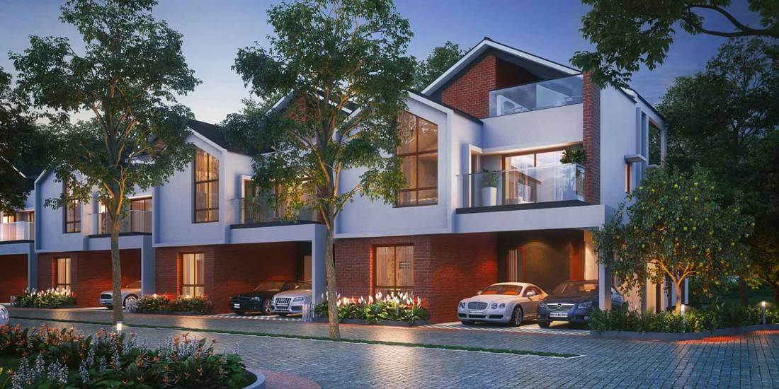 NVT Symphony of Orchards