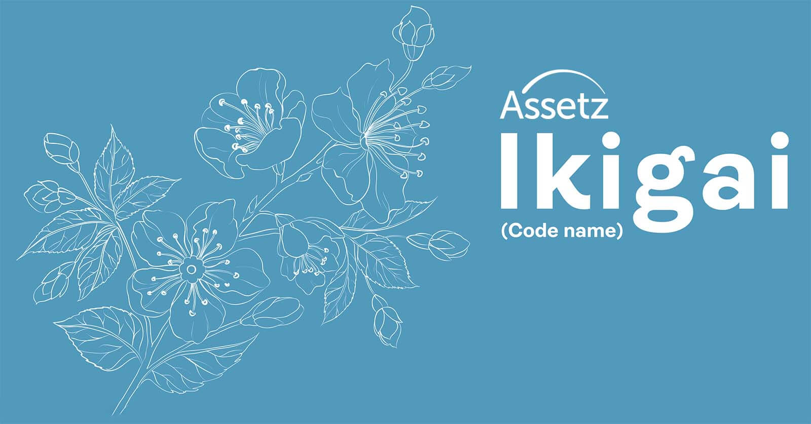 Assetz Ikigai