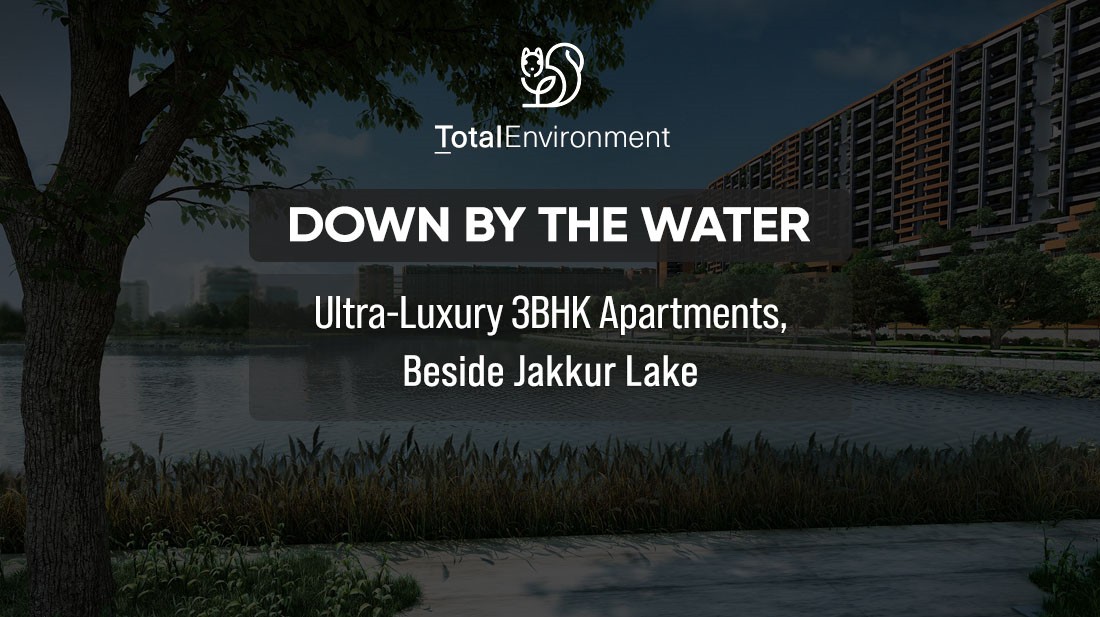 Total Environment Down by the Water