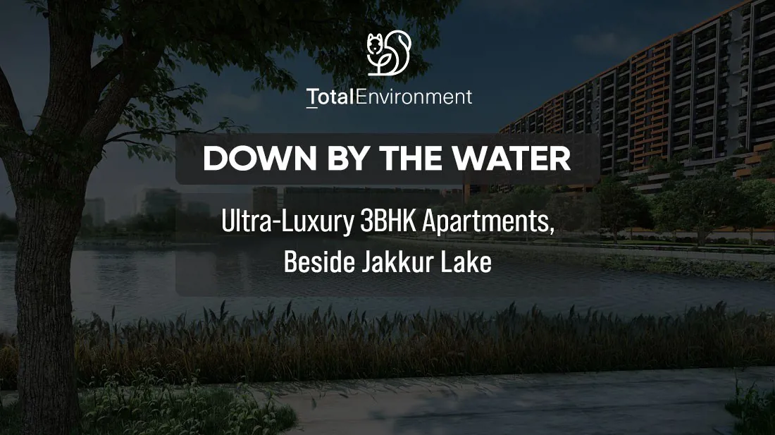 Total Environment Down by the Water