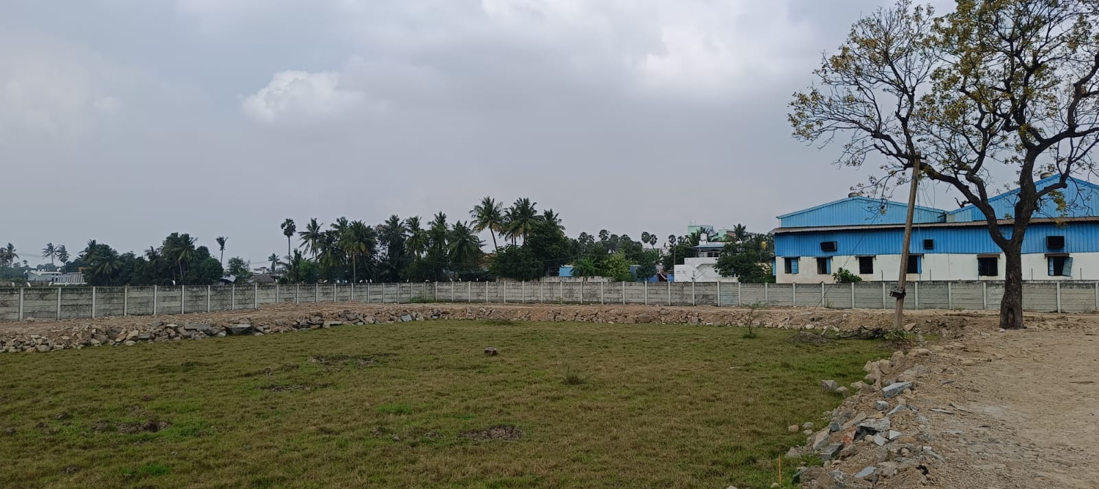 Mangalya City