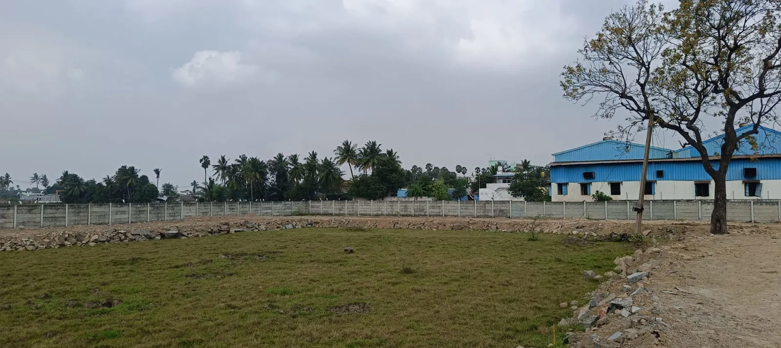 Mangalya City