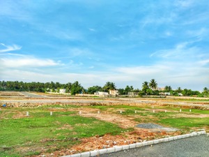 Serasa Singhvi Garden