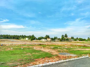 Serasa Singhvi Garden