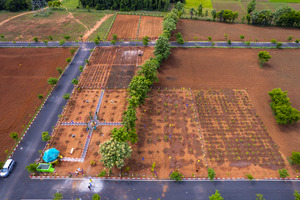 Namma Chennai Farms