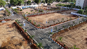 G Square South Crown