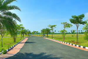 Signature City