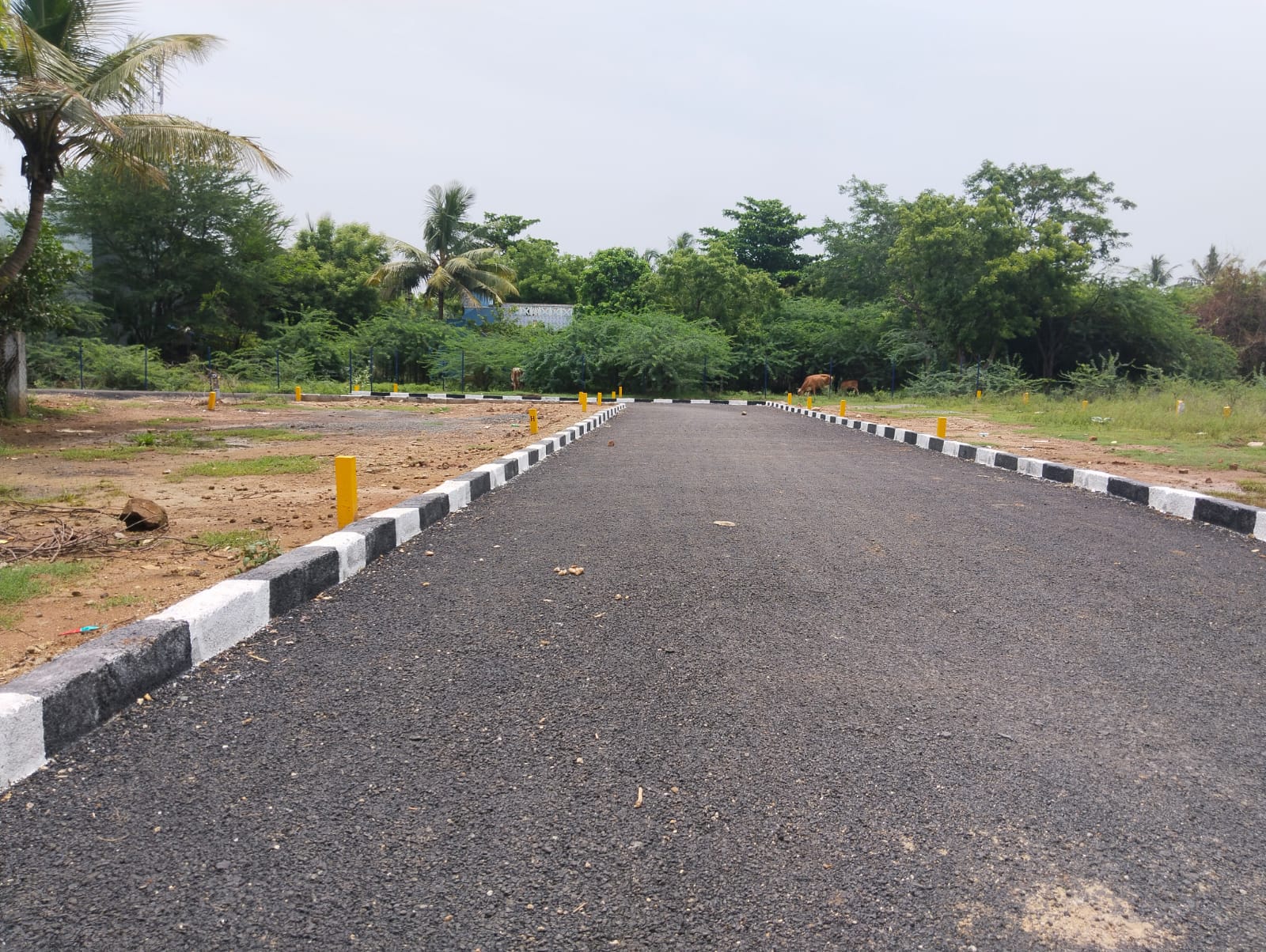 Vasantham Nagar
