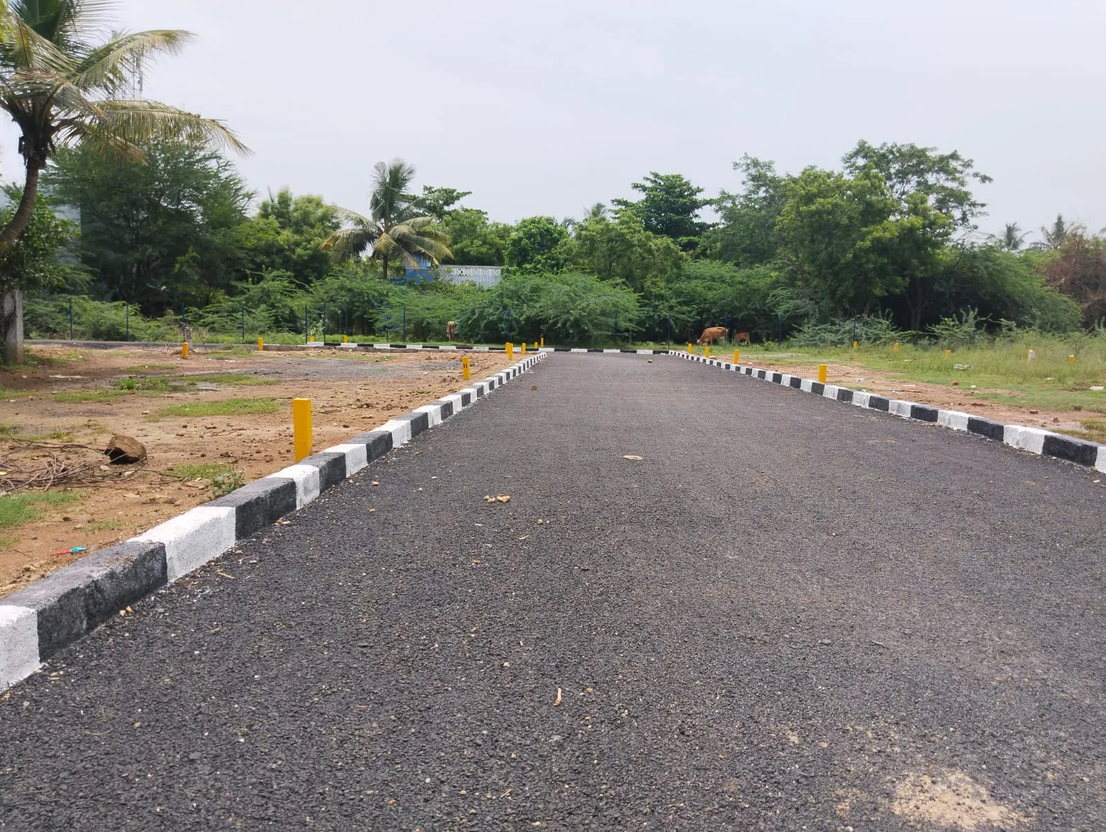 Vasantham Nagar