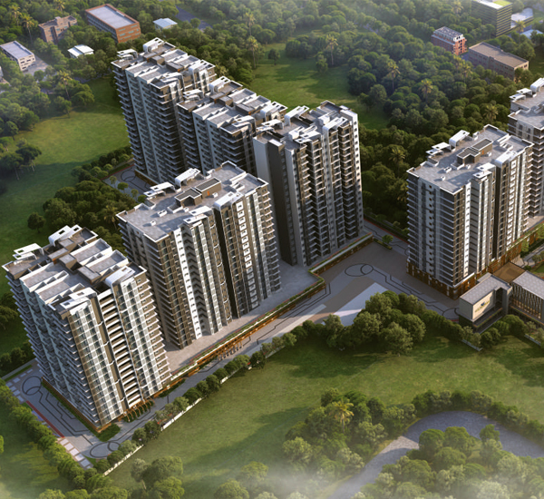 IVY TOWERS