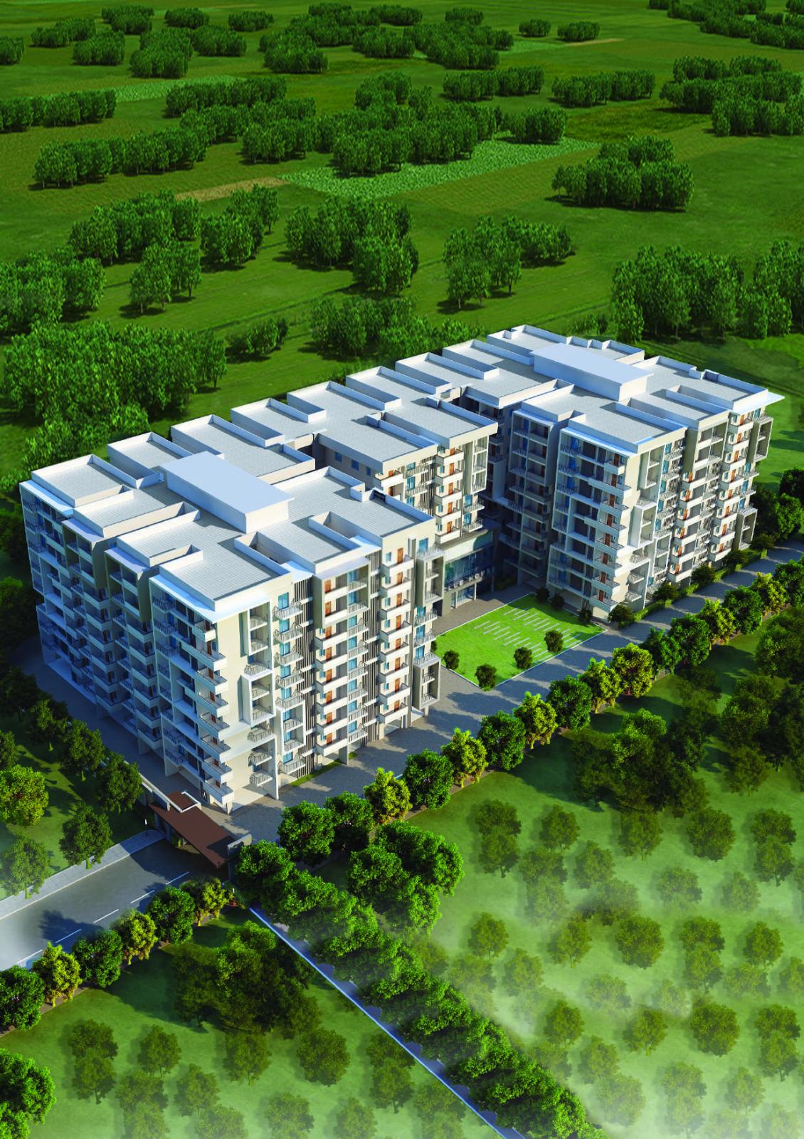 Manbhum Hometree