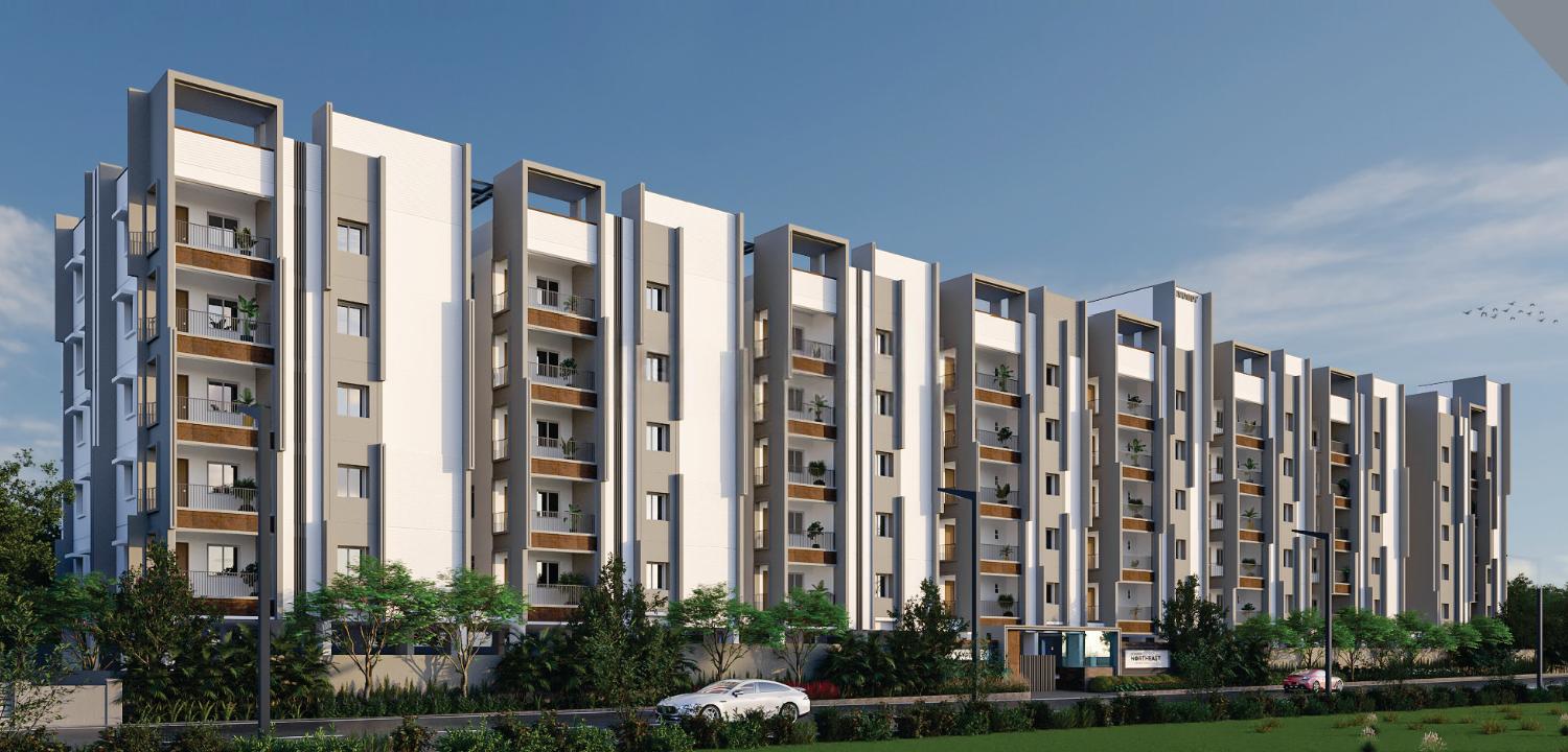 Levonor North East
