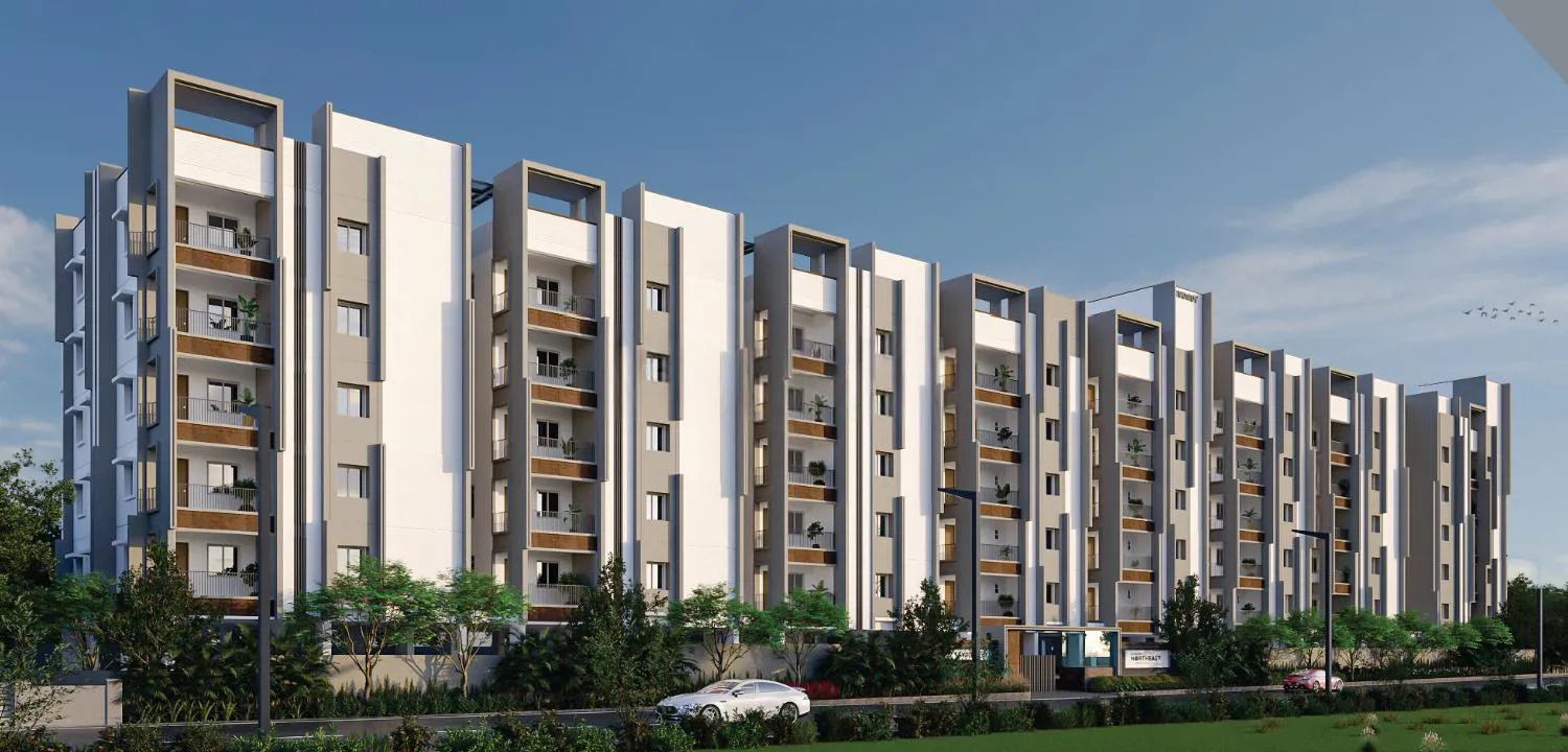 Levonor North East 